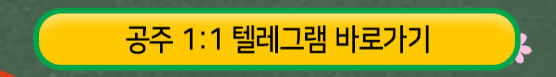 공주텔레